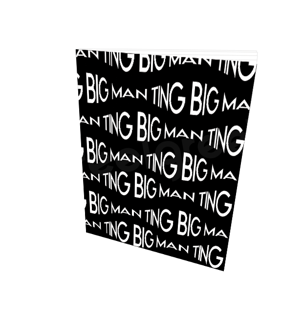 BIG MAN TING NOTEBOOK - Streetgreets